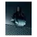 D_NQ_NP_919454-MLU74978948388_032024-O