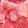 D_NQ_NP_935190-MLU75000694135_032024-O