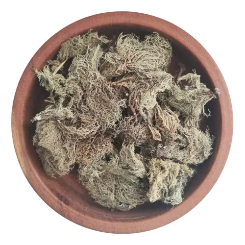 D_NQ_NP_2X_783815-MLA84215537992_052025-F