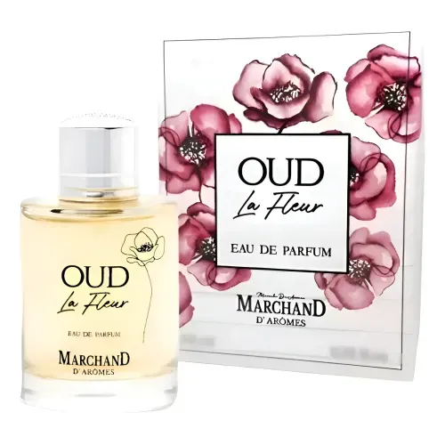 D_NQ_NP_2X_649208-MLA101395250680_122025-F